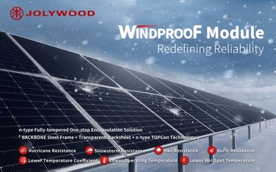 top 8 screen protector brands in India